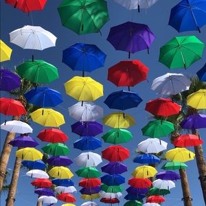 Meet your Posher, Tsitsi